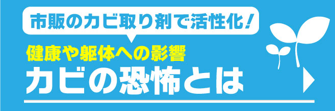 カビの恐怖についてはこちら